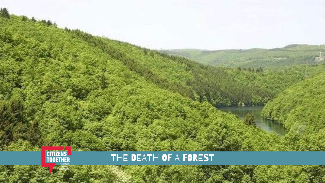 Diamonds are not Really Important than Jungle, Raise Your Voice to Protect Buxwaha Forest